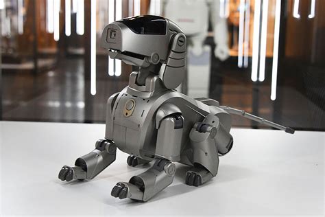 ロボット犬：人類の親友の未来