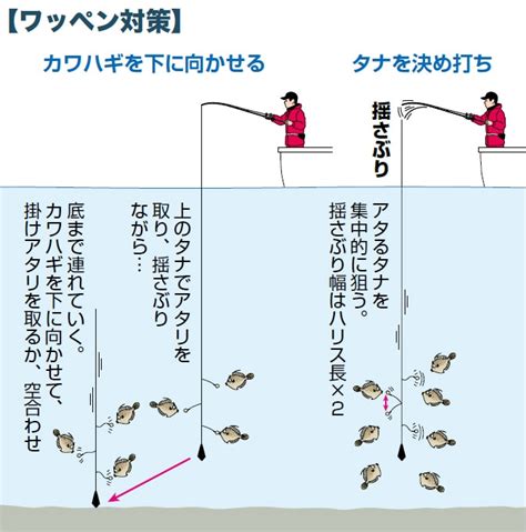 ロングリーチ20m - 遠距離釣りの極意