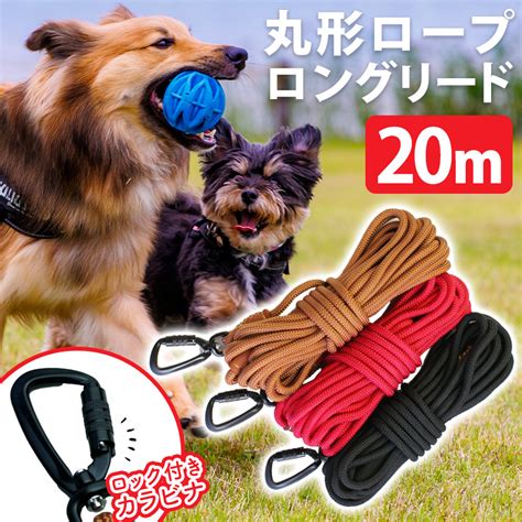 ロング リード 20mであなたの愛犬を自由奔放に