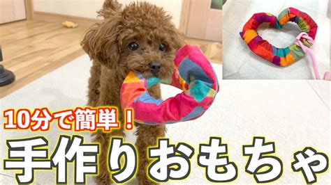 ロープで作る犬用おもちゃの作り方