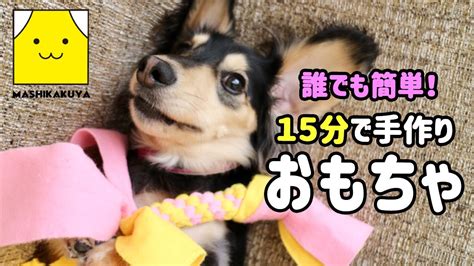 ロープの犬のおもちゃの作り方: 簡単で楽しいDIYプロジェクト