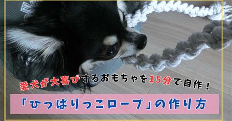 ロープボールの作り方 〜 手軽に作れるおもちゃで愛犬との絆を深めよう