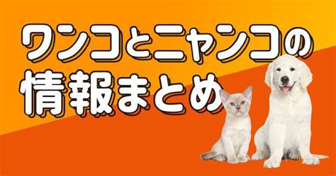 ワンコとニャンコのための究極の「癒し」の秘密