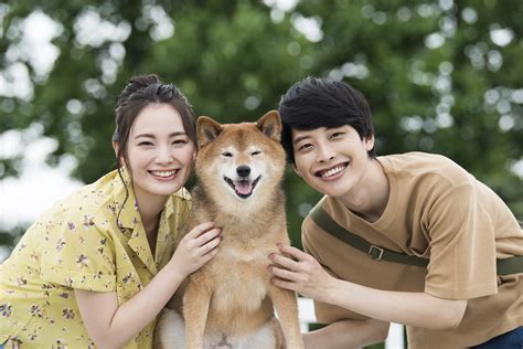 ワンコと散歩：愛犬との絆を深め、健康を維持するための包括ガイド