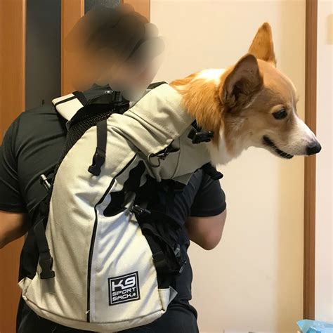 ワンコ リュック: 犬の快適な散歩と持ち運びをサポートする究極のガイド