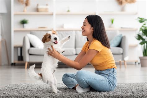 一人暮らしでも犬を飼いたい！～幸せなペットライフを送るためのガイド～