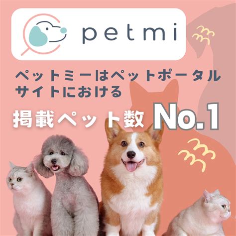 一人暮らしで犬や猫を飼うために必要なこと