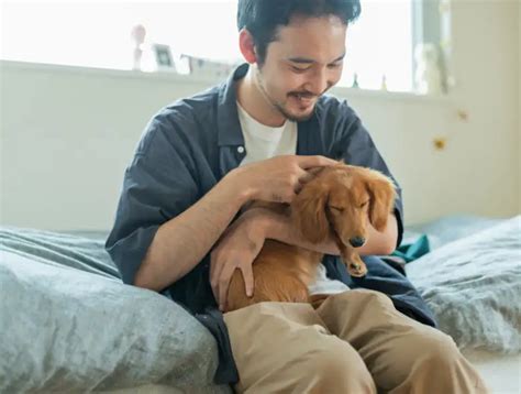 一人暮らしで犬を飼うなら知っておきたいこと