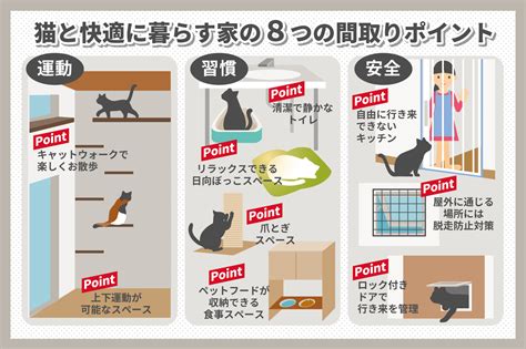 一人暮らしで猫と快適に暮らすための 間取り設計