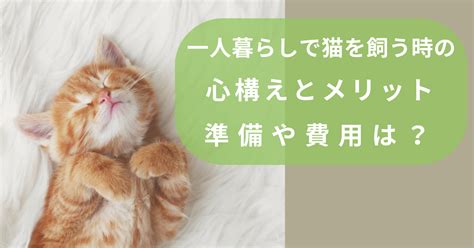 一人暮らしで猫を飼うメリット