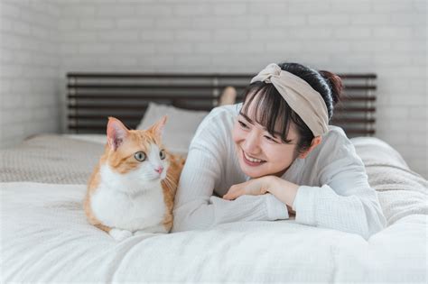 一緒に寝る猫：知っておきたいこと