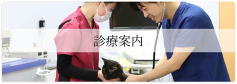 三河動物病院で最高の獣医療を受けよう！