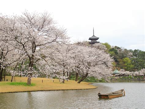 三溪 園