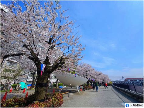 三藥都市東京田川