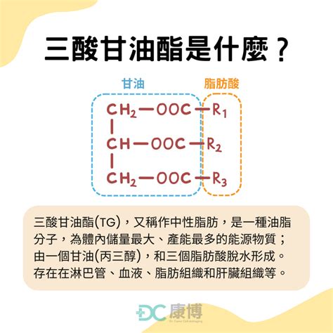 三酸甘油酯：