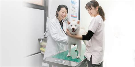 三鷹のペットのために – ライオン動物病院