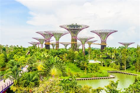 上午：參觀濱海灣花園