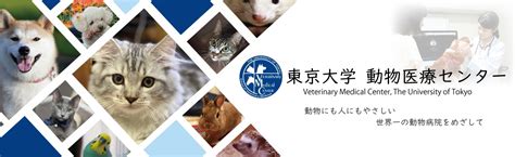 上原動物病院 上越における動物医療の最先端