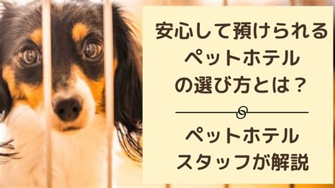 上越地方で安心して預けられるペットホテルの選び方