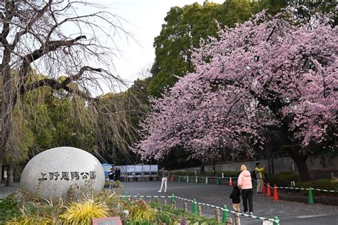 上野公園，東京的綠色心臟