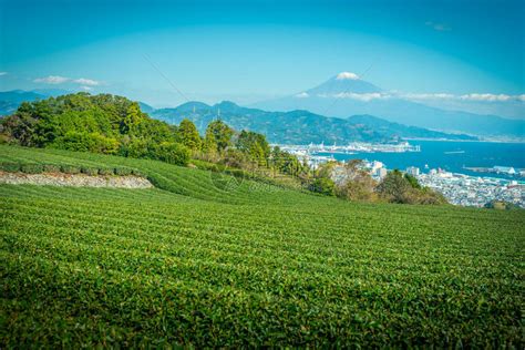 下田市：日本静岡县的海滨天堂