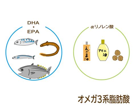 不飽和脂肪酸