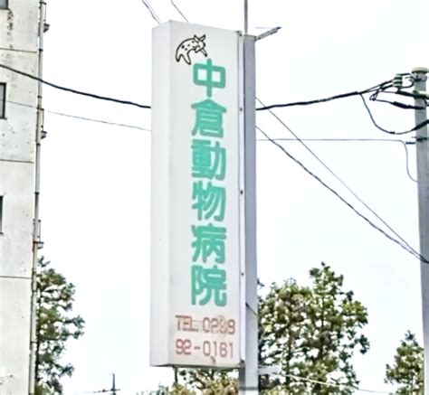 中倉動物病院