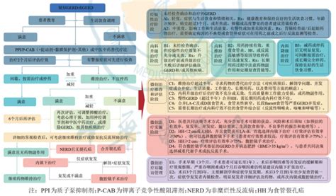 中国多学科诊所：全面医疗保健指南