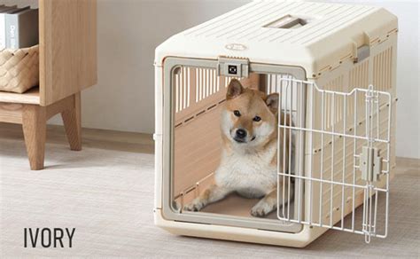 中型犬向けの折りたたみ式クレートの選び方とおすすめ製品