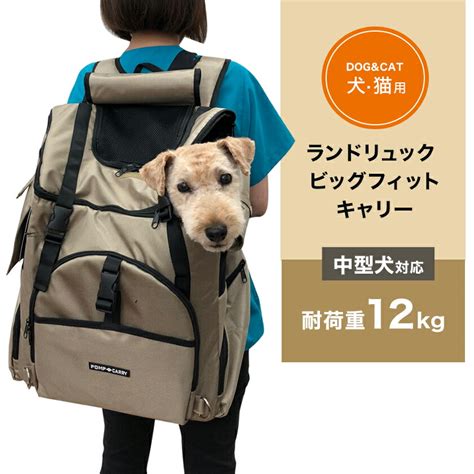 中型 犬 キャリー おすすめ