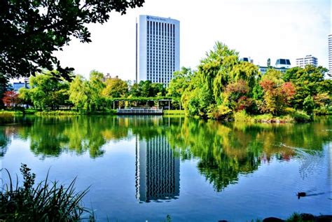 中島公園と周辺エリアの歴史と見どころ