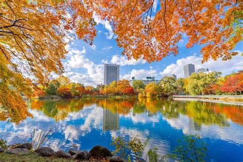 中島公園的歷史