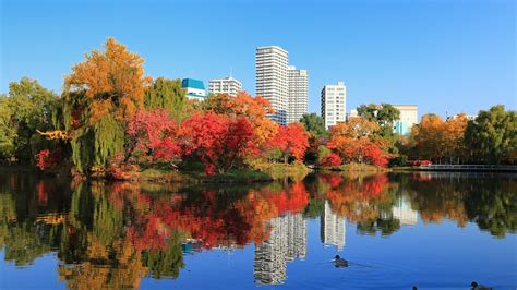 中島 公園