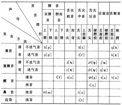 中文中的普通