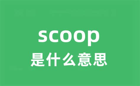 中文 Scoop