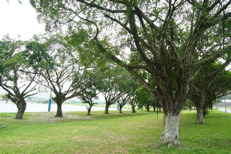 中正河濱公園