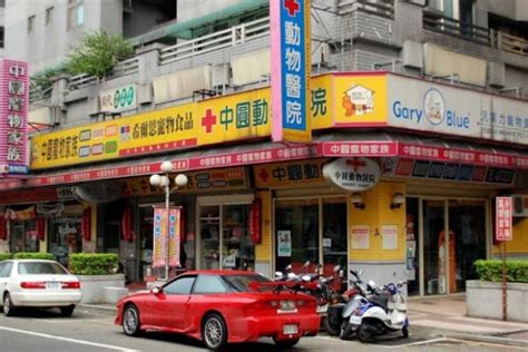 中環寵物店大搜查！精選名店一次看