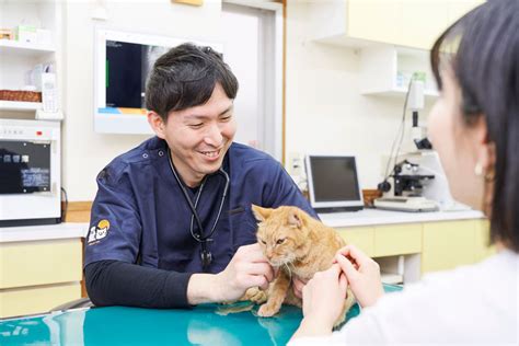 中穂犬と猫の病院で最高の獣医療を体験しよう