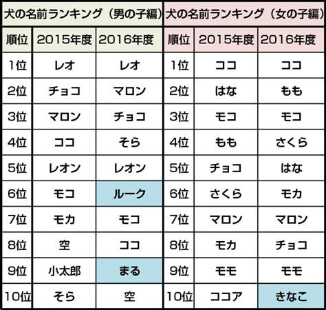 丸がつくペットのお名前大全