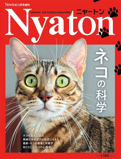 丸く縮こまる猫の科学