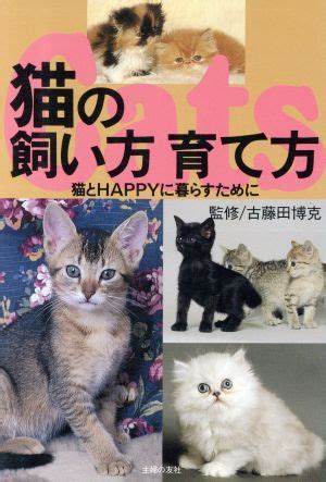 丸まる猫の飼い方大全