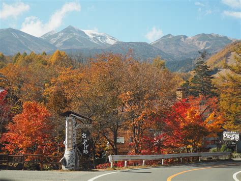 乘鞍高原