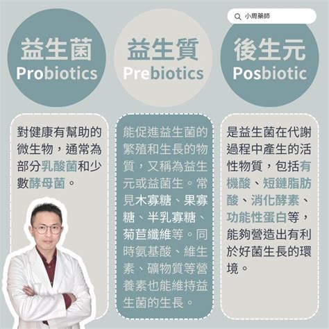 乳酸菌功效：促進健康，改善生活品質