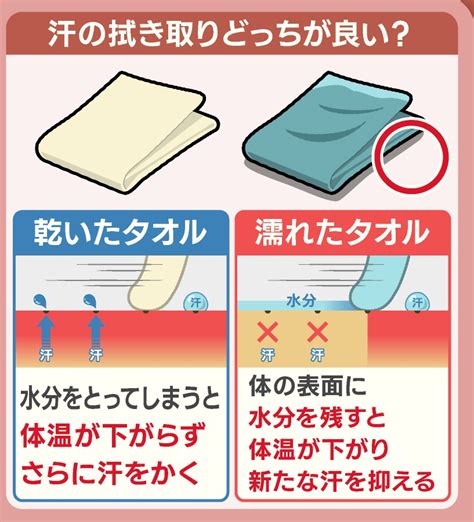 乾いたタオルの利便性と健康への効果：あなたの毎日の必需品