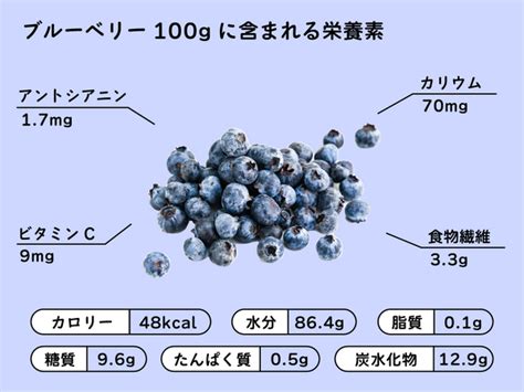 乾燥ブルーベリー: その健康効果と利用方法