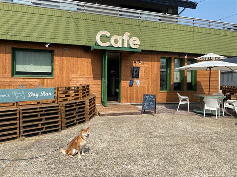 亀岡で愛犬と楽しめるドッグカフェガイド