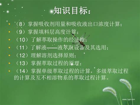 了解吸收中文的必要性