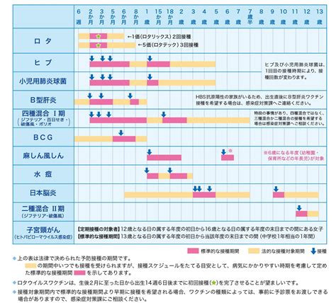 予防接種と定期健診: