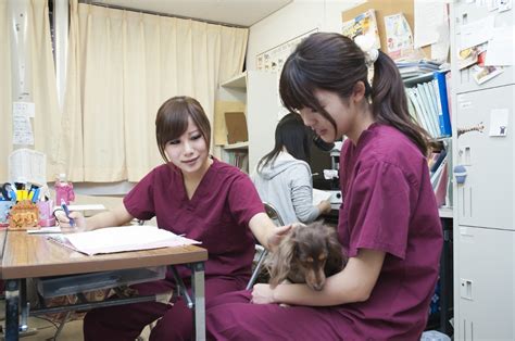 井上獣医科で最高の獣医療を受けよう！