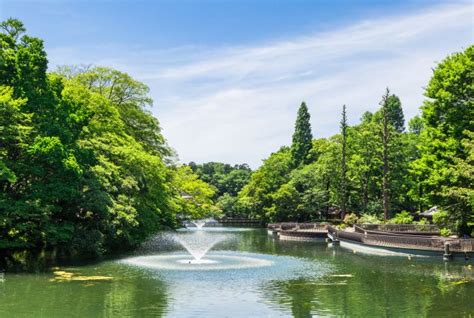 井之頭恩賜公園